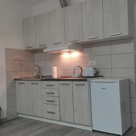 公寓 Studio Apartmani Banja Koviljaca