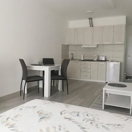 Studio Apartmani Banja Koviljaca Banja Koviljača