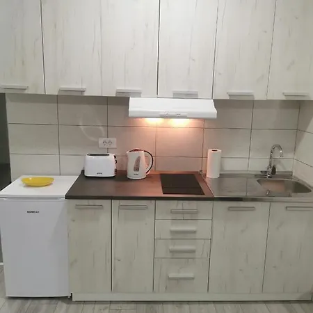 Studio Apartmani Banja Koviljaca 公寓 Banja Koviljača