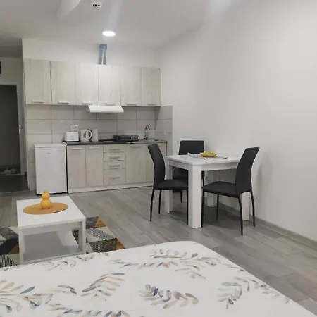 Studio Apartmani Banja Koviljaca Apartment