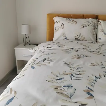 Studio Apartmani Banja Koviljaca 公寓 *