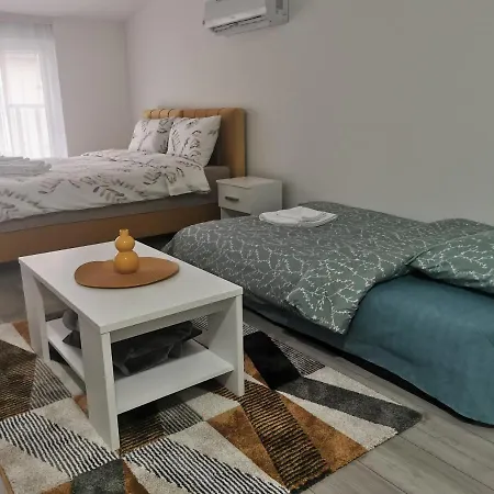 公寓 Studio Apartmani Banja Koviljaca *