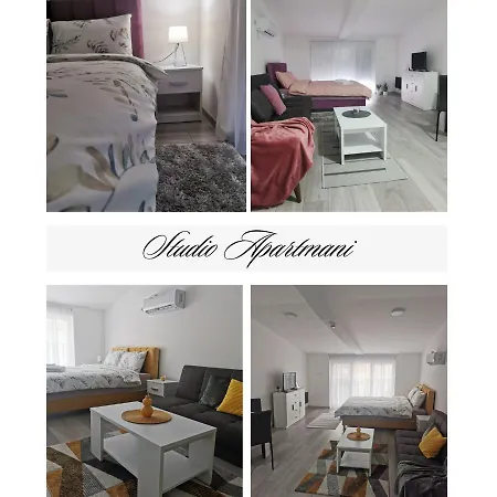 公寓 Studio Apartmani Banja Koviljaca *