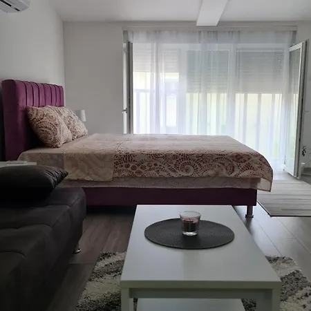 公寓 Studio Apartmani Banja Koviljaca Banja Koviljača