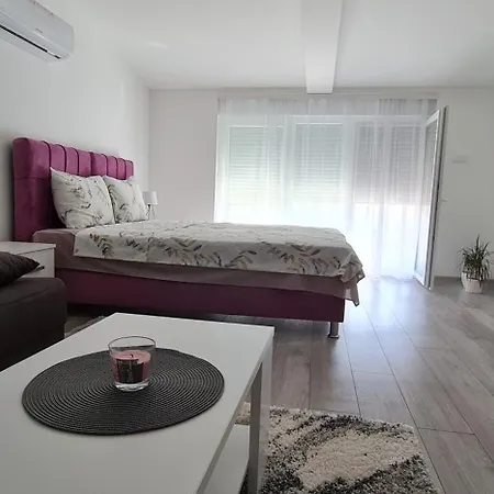 Studio Apartmani Banja Koviljaca Apartment Banja Koviljača