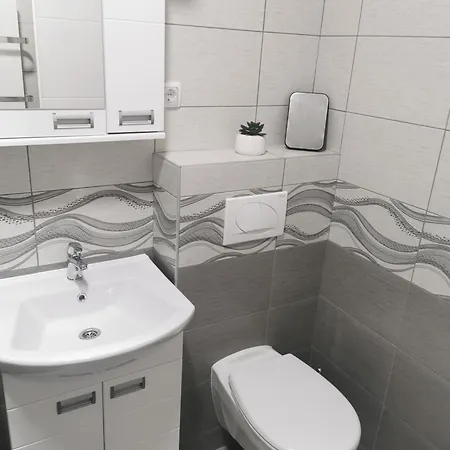 Studio Apartmani Banja Koviljaca *