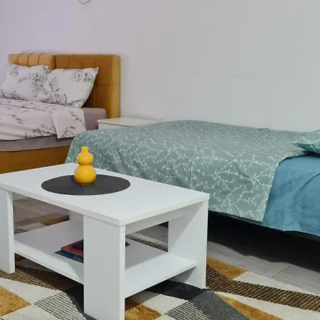 Studio Apartmani Banja Koviljaca