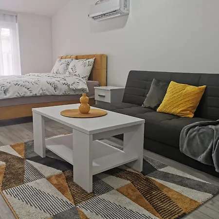 公寓 Studio Apartmani Banja Koviljaca *