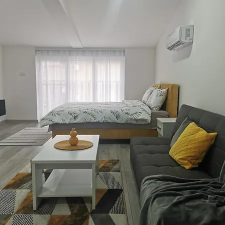 Studio Apartmani Banja Koviljaca Apartamento