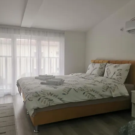 Studio Apartmani Banja Koviljaca 公寓 *