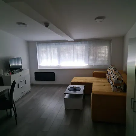 Studio Apartmani Banja Koviljaca *