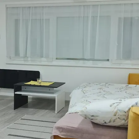 公寓 Studio Apartmani Banja Koviljaca *