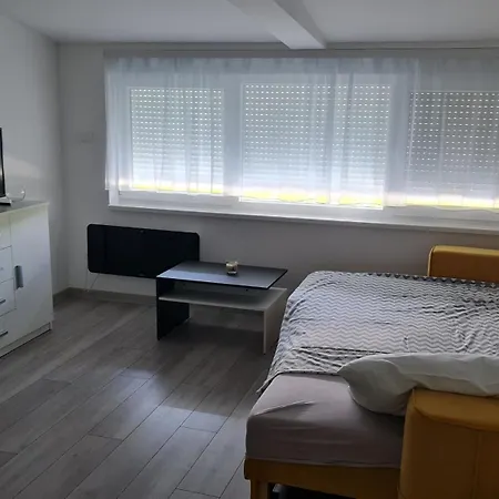 Studio Apartmani Banja Koviljaca 公寓
