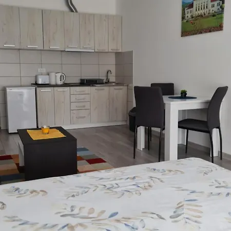 Studio Apartmani Banja Koviljaca *