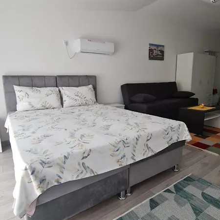 公寓 Studio Apartmani Banja Koviljaca *