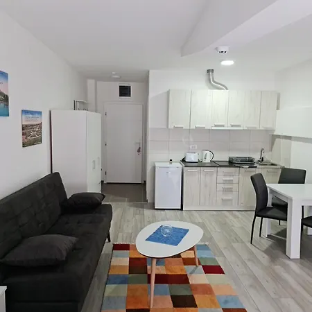 公寓 Studio Apartmani Banja Koviljaca *