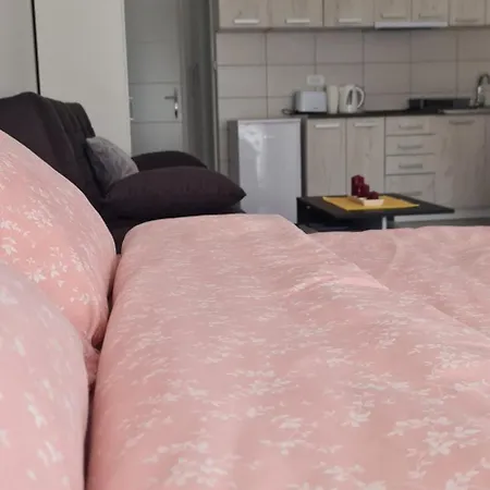 Studio Apartmani Banja Koviljaca *